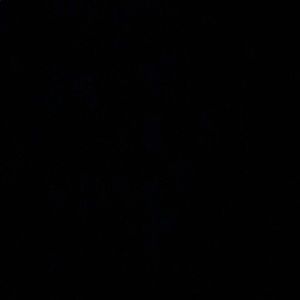 Meet your Posher, Haider